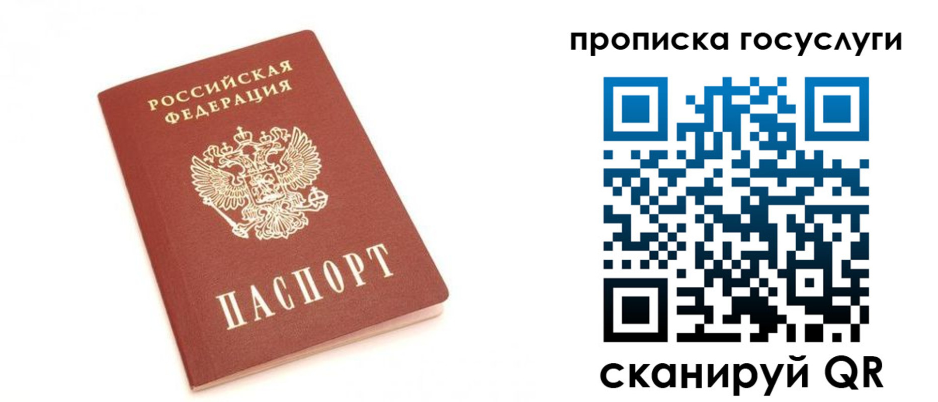 временная регистрация собственник в Мончегорске